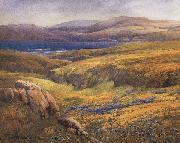 unknow artist Point Lobos in the Springtime oil painting